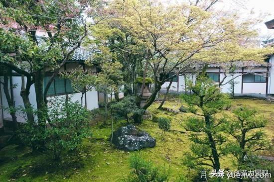冬季植物應該怎么打理，才能來(lái)年依舊繁花似錦(圖2)