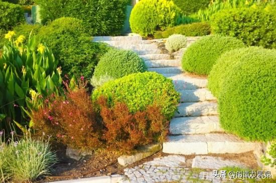 冬季植物應該怎么打理，才能來(lái)年依舊繁花似錦(圖3)